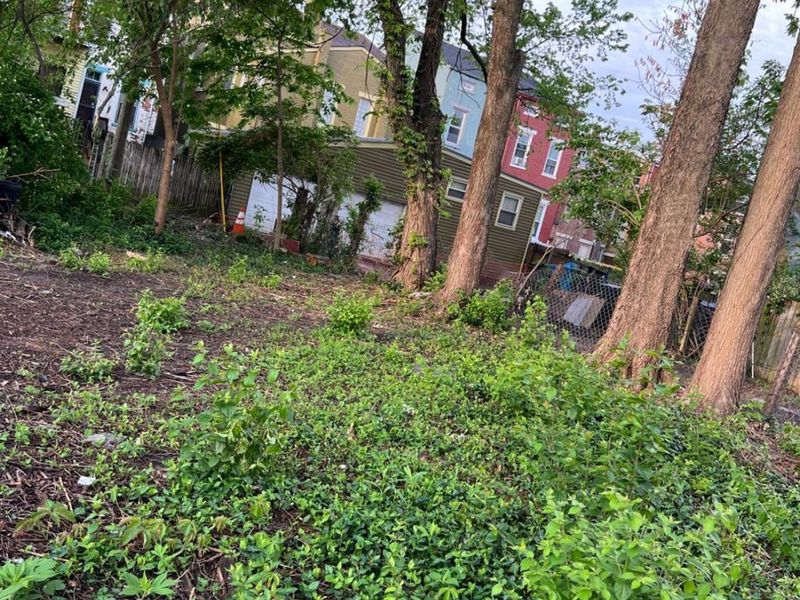 425 Whiteman Street, Cincinnati, OH 45214 Photo 6