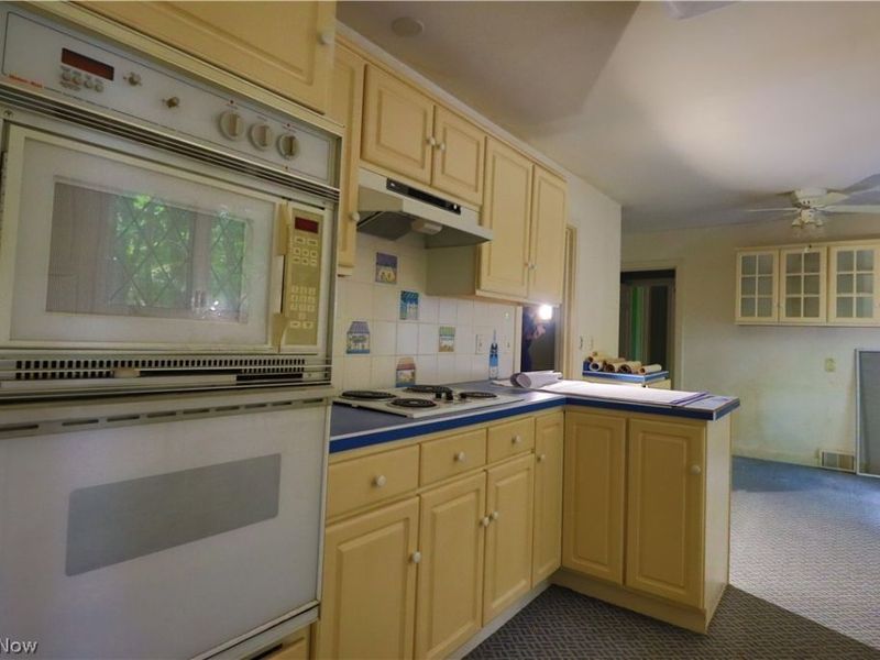 40 Wintergreen Hill Drive , Painesville, OH 44077 Photo 22