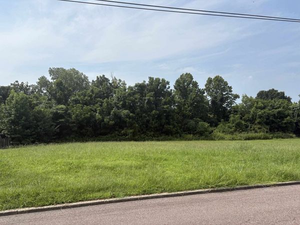 39-40 WILLOW CREEK DR, Ripley, TN 38063