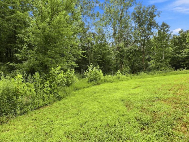 3782 Fulton Grove Road, Pierce Twp, OH 45245 Photo 57