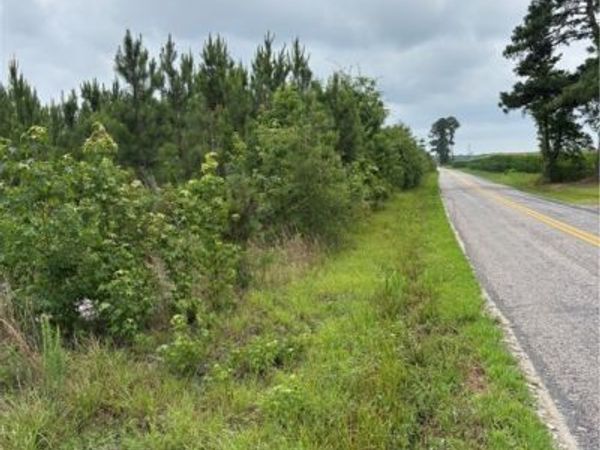 0 Flatfoot Road , Dinwiddie, VA 23841