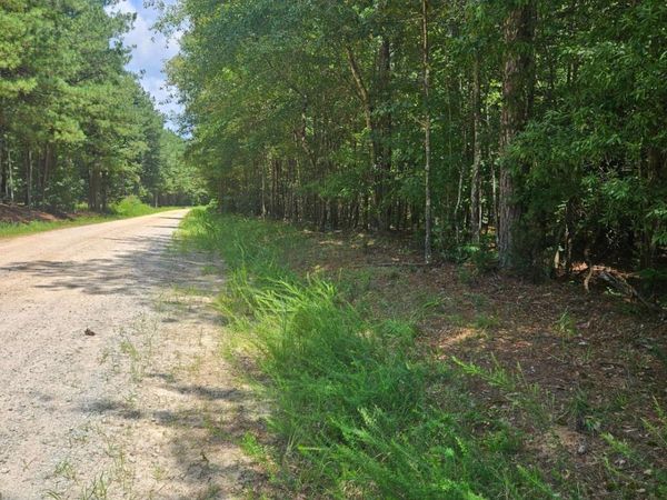 292 Mccannon Rd Tract 3A, Carlton, GA 30627