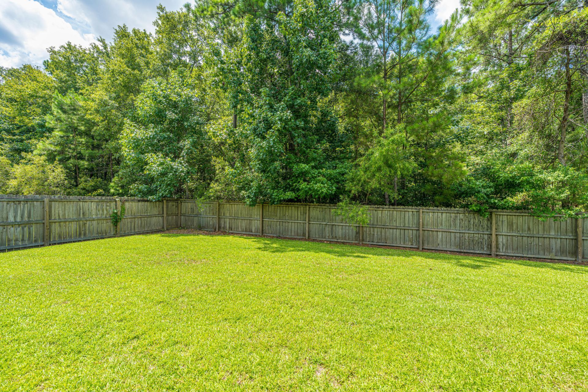 125 Carolina Wren Avenue Photo 46