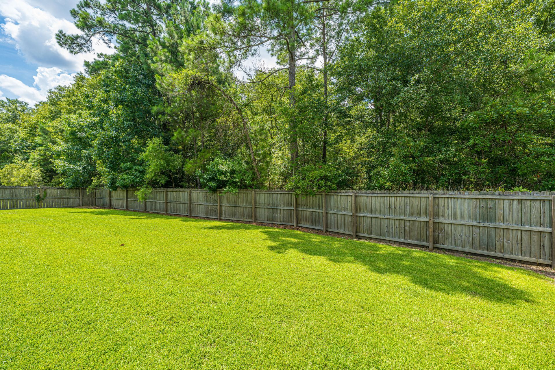 125 Carolina Wren Avenue Photo 47