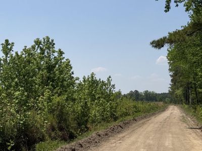 1725 Bethel Forest Road, Orangeburg, SC 29115