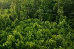 00 Whitesville Road photo 4