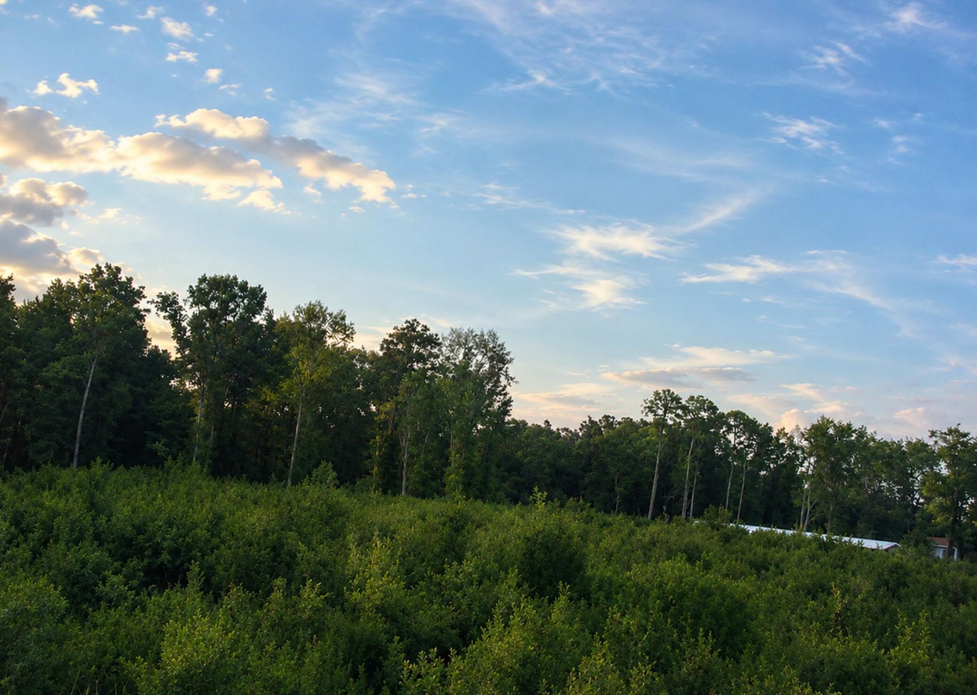00 Whitesville Road Photo 4