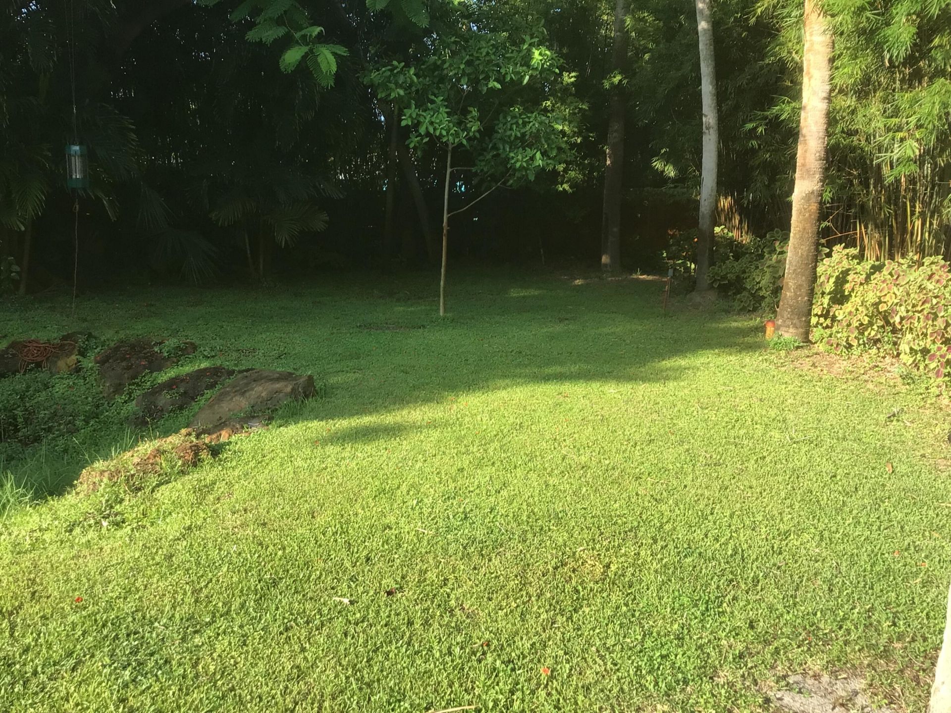 2019 SW 29th Avenue, Fort Lauderdale, FL 33312 Photo