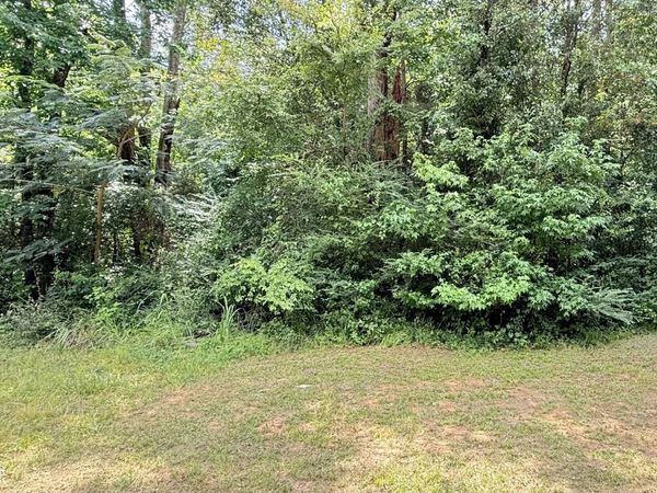 N Railroad Avenue, Louisville, MS 39339