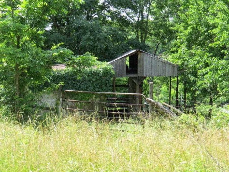 Property Image 8