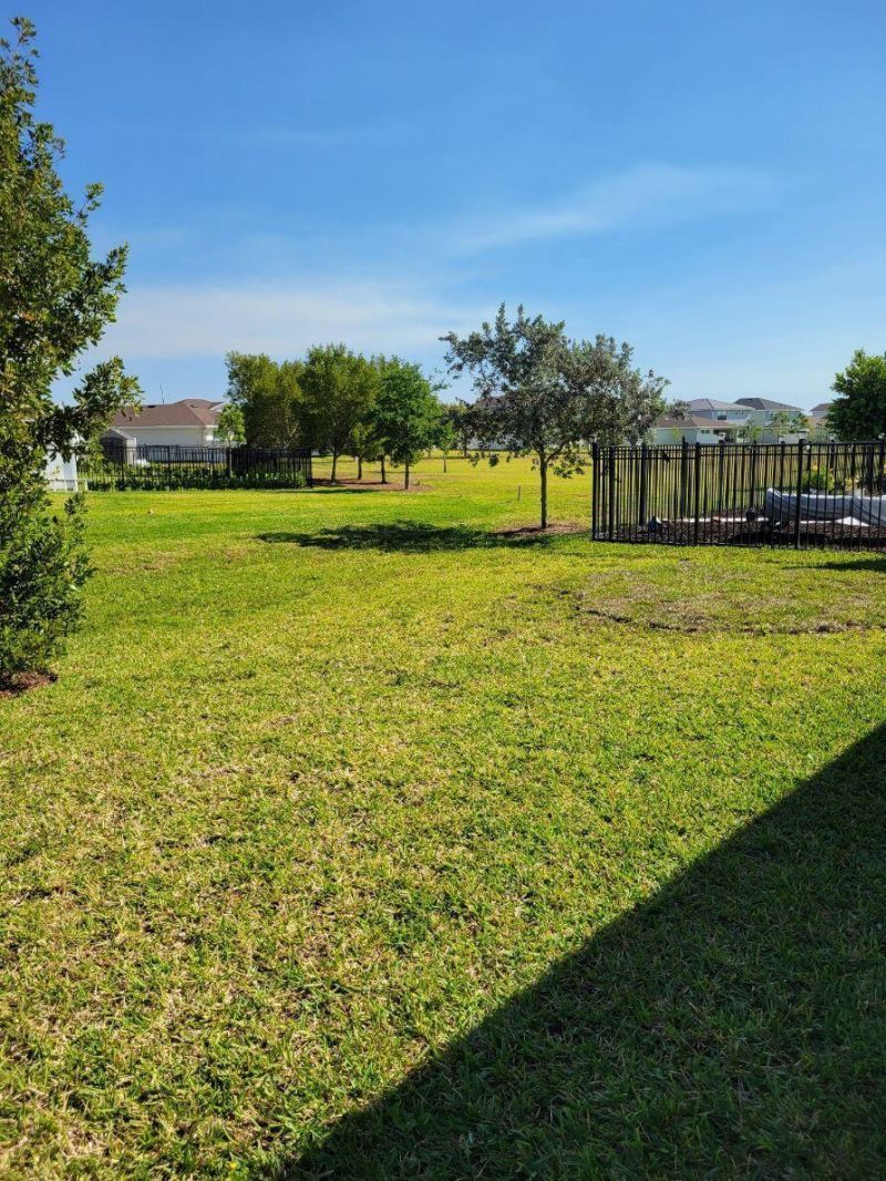 19771 Rugged Trunk Trail, The Acreage, FL 33470 Photo