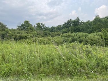 32 Mile Road, Ray Township, Mi 48096
