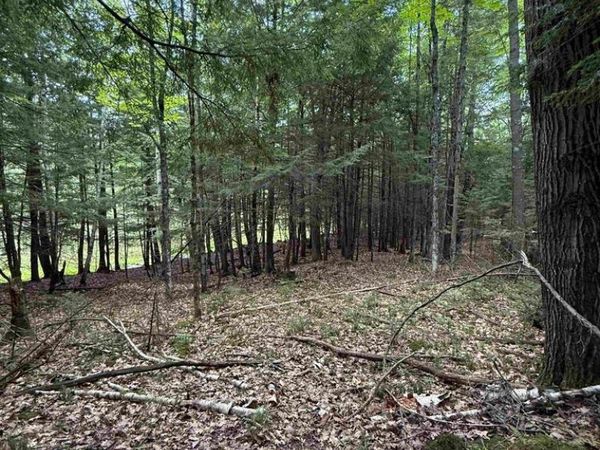 DEER LANE, Pelican Lake, WI 54463