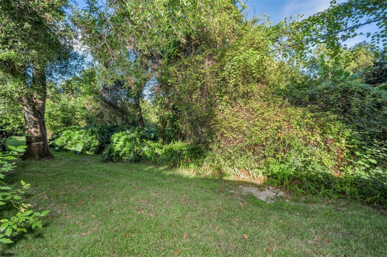 3500 Magnolia Ridge Circle, Unit 405, Palm Harbor, FL 34684 Photo
