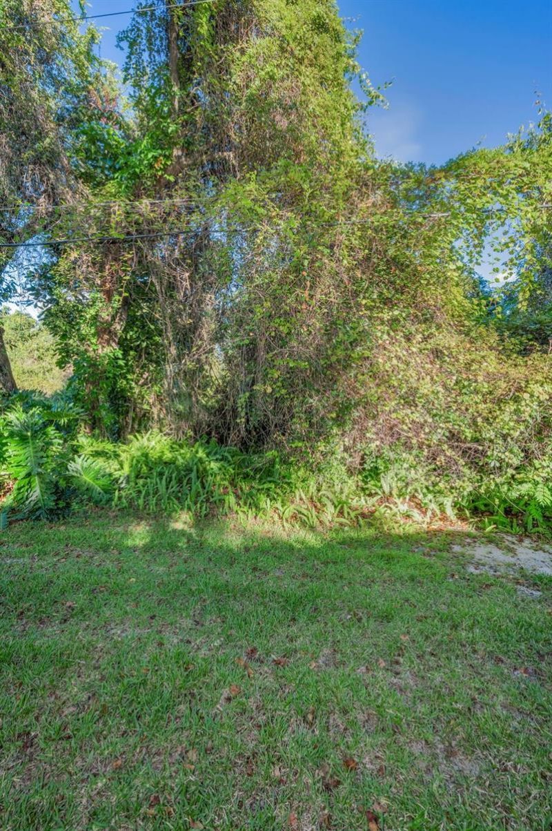 3500 Magnolia Ridge Circle, Unit 405, Palm Harbor, FL 34684 Photo