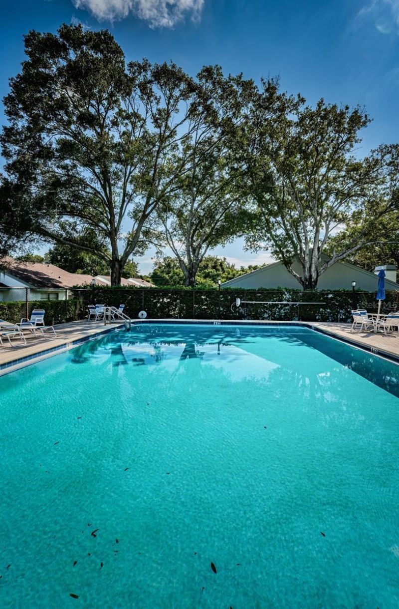 3500 Magnolia Ridge Circle, Unit 405, Palm Harbor, FL 34684 Photo
