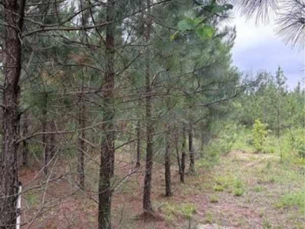 0 Courthouse Road , Dinwiddie, VA 23841