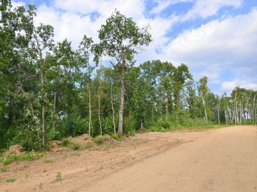 XXX Firewood Trail , Park Rapids, MN 56470