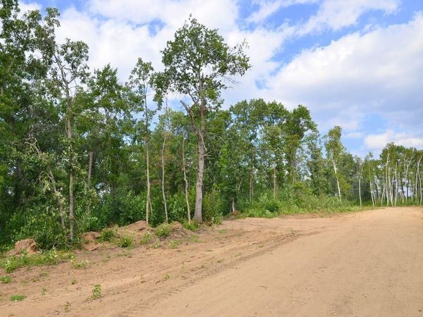 XXX Firewood Trail , Park Rapids, MN 56470