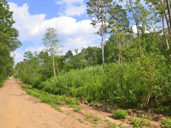 XYZ Firewood Trail , Park Rapids, MN 56470