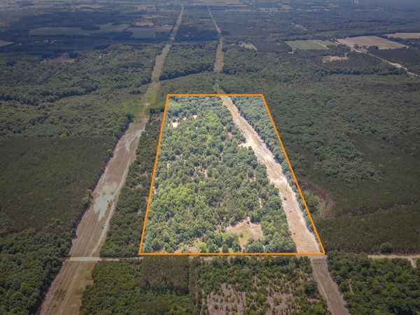 V/L W Adams Road, Pentwater, MI 49449
