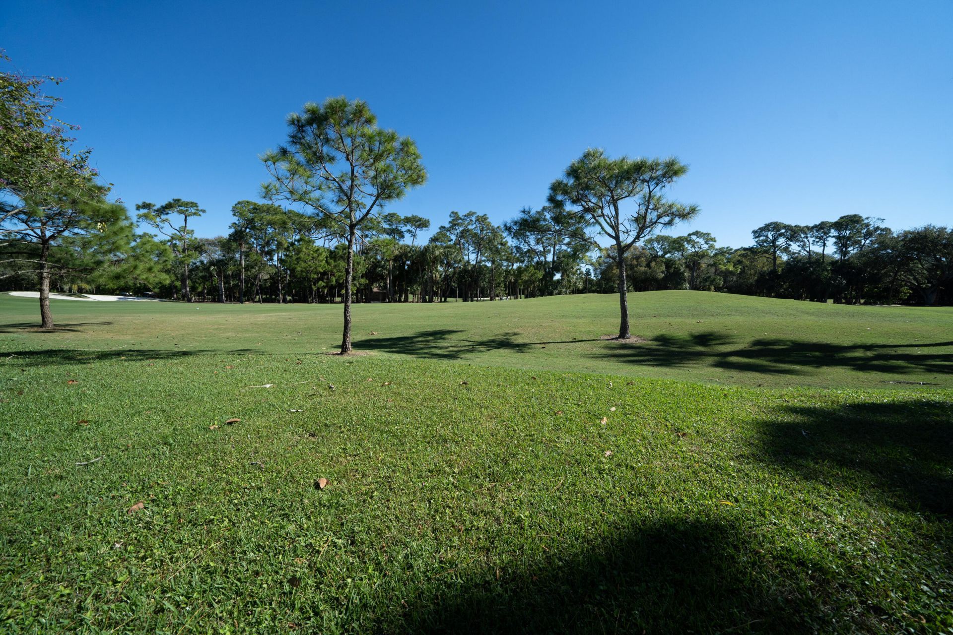 13144 Eastpointe Way, West Palm Beach, FL 33418 Photo
