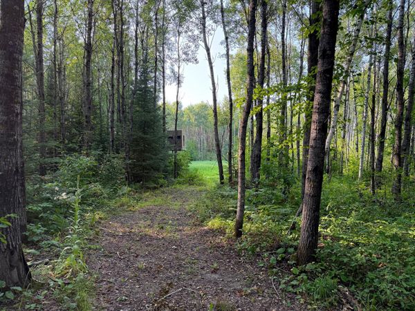 XX County Rd 1 , Emily, MN 56447