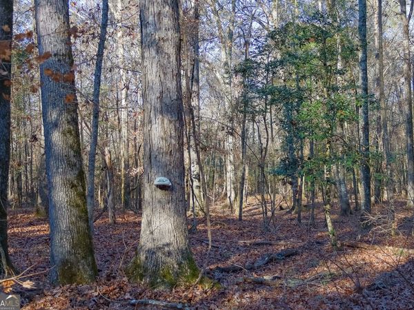 557 Limestone Road, Cochran, GA 31014