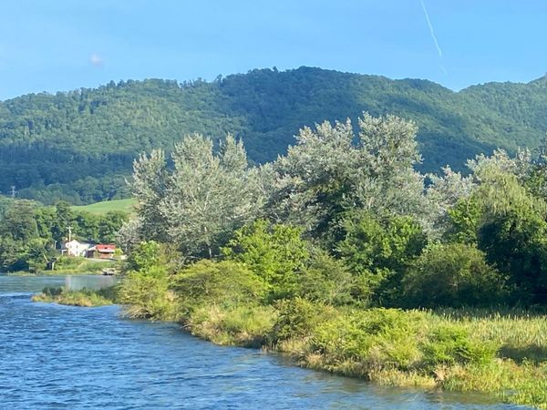 Tbd Steel Bridge Road, Elizabethton, TN 37643