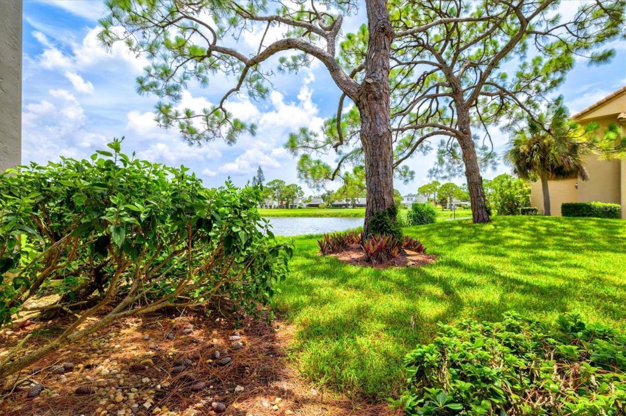 3053 Taywood Meadows, Unit 3, Sarasota, FL 34235 Photo
