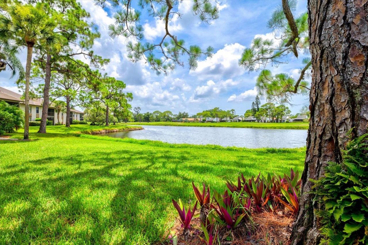 3053 Taywood Meadows, Unit 3, Sarasota, FL 34235 Photo