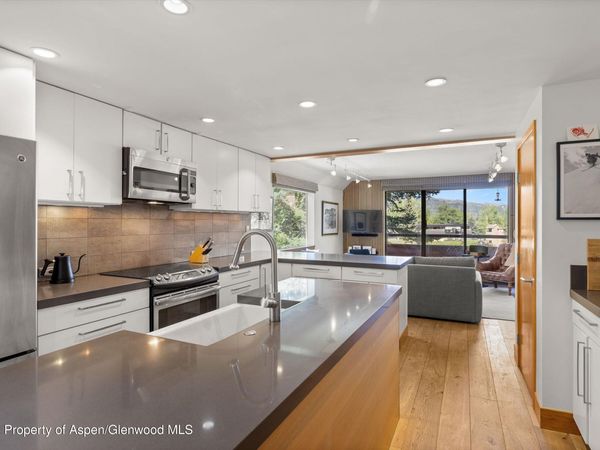 1221 Vine Street, Unit 1221, Aspen, CO 81611