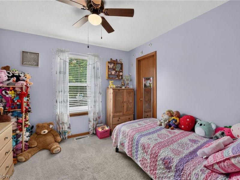 7402 Fayette Boulevard , Chippewa Lake, OH 44215 Photo 19