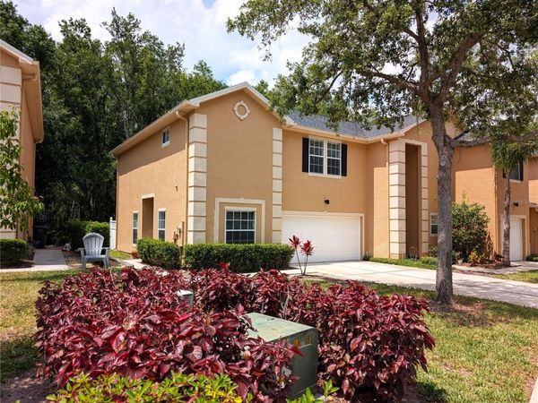 6212 ASHBURY PALMS DRIVE , TAMPA, FL 33647