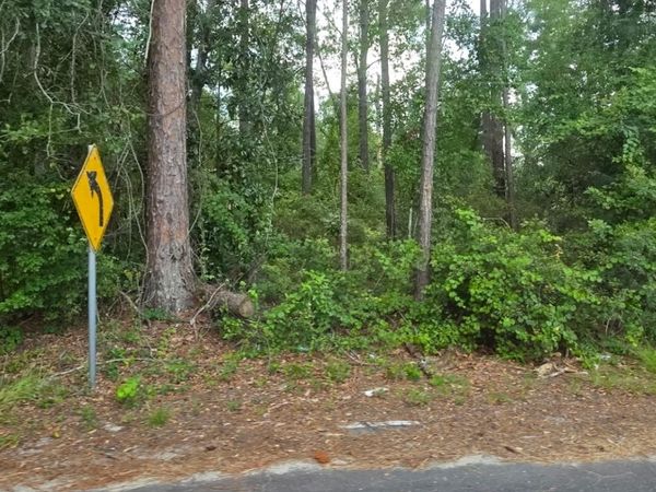 0 Johnson Street, Baxley, GA 31513