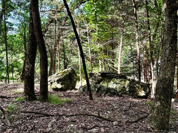 Lot 39 Pine Drive , Garfield, AR 72732