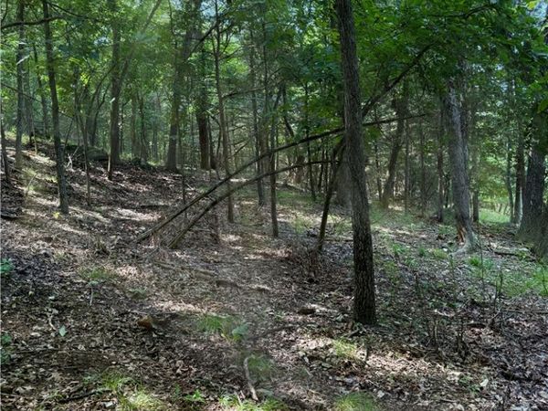 Lot 40 Pine Drive , Garfield, AR 72732