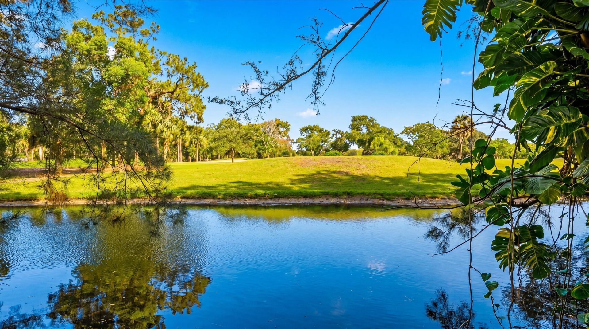 1303 Lakeview Drive E, Royal Palm Beach, FL 33411 Photo