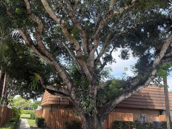 187 Charter Way, West Palm Beach, FL 33407