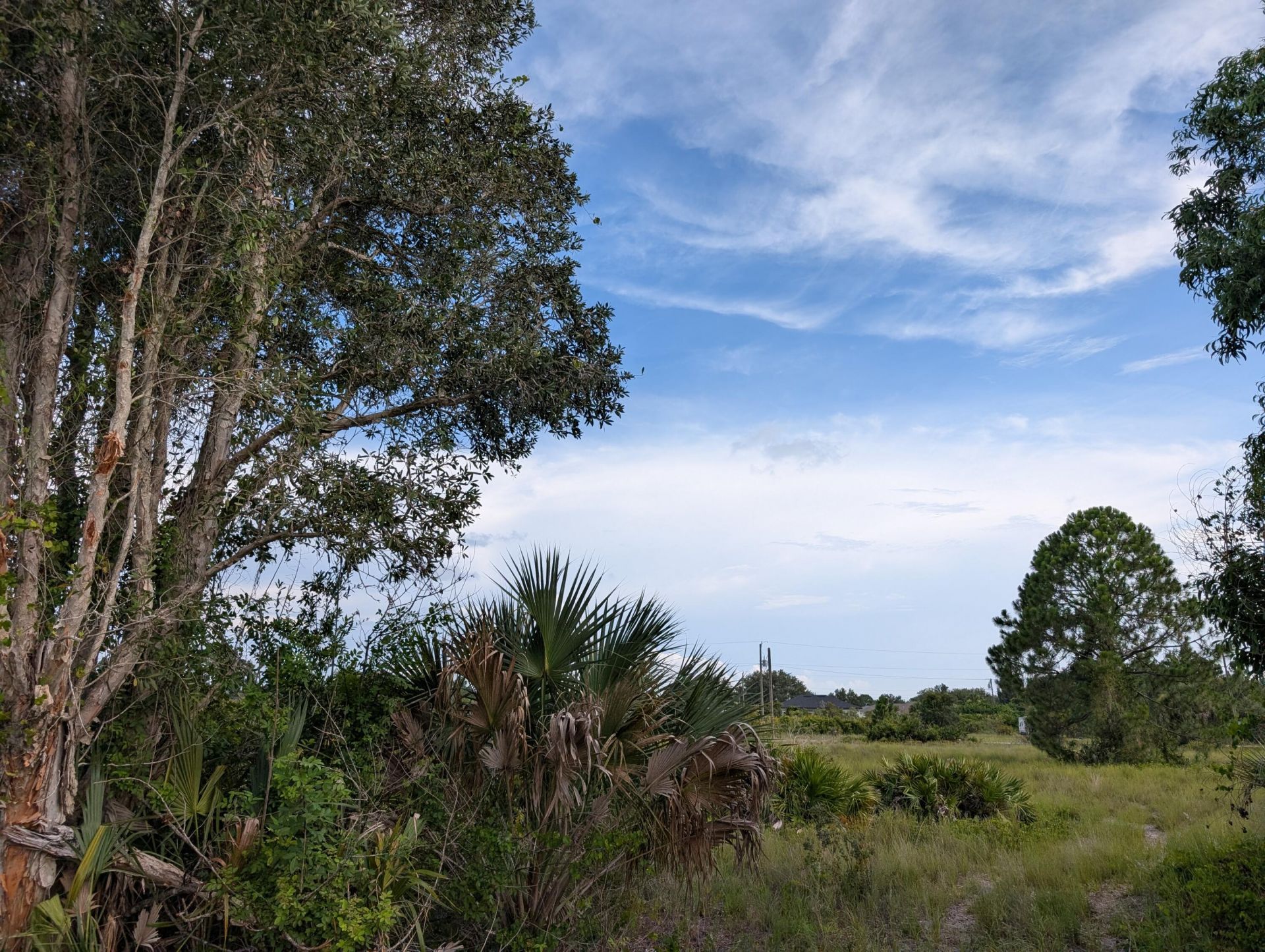 3015 64th Street W, Lehigh Acres, FL 33971 Photo