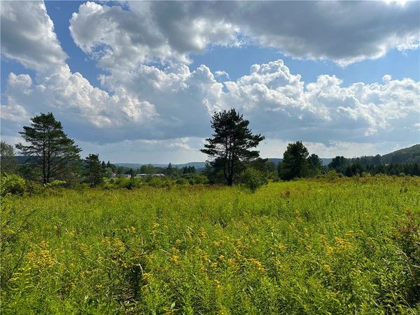 0 Cr-17 , Friendship, NY 14739