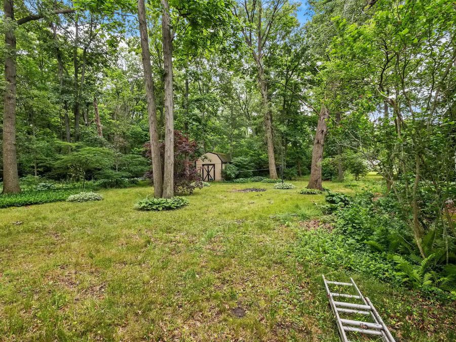 Property Image 41