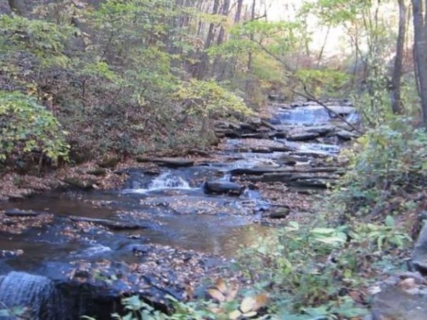 232 Andes Ridge, Ellijay, GA 30540