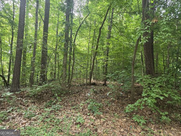 0 Harriette Drive, Stockbridge, GA 30281