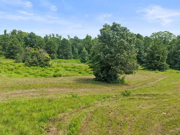 1381 COUNTY ROAD 1763 , Linden, TX 75563