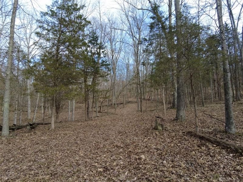1897 Chestnut Ridge Road, West Union, OH 45693 Photo 10