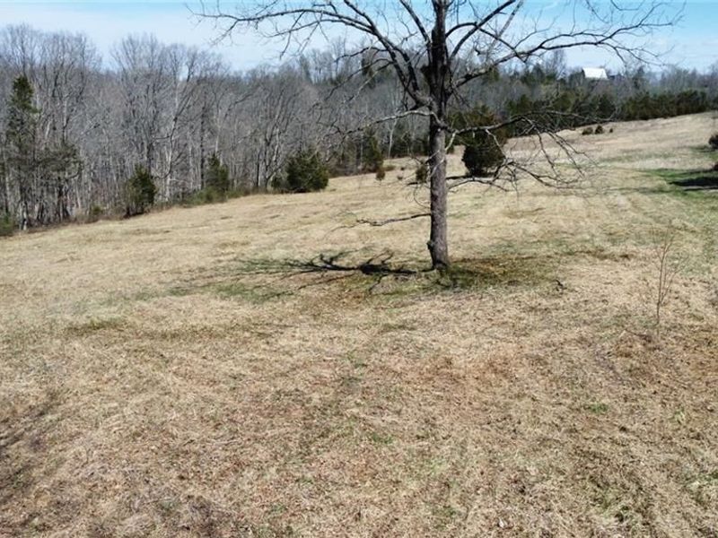 1897 Chestnut Ridge Road, West Union, OH 45693 Photo 31