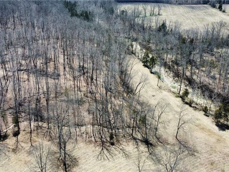 1897 Chestnut Ridge Road, West Union, OH 45693 Photo 32
