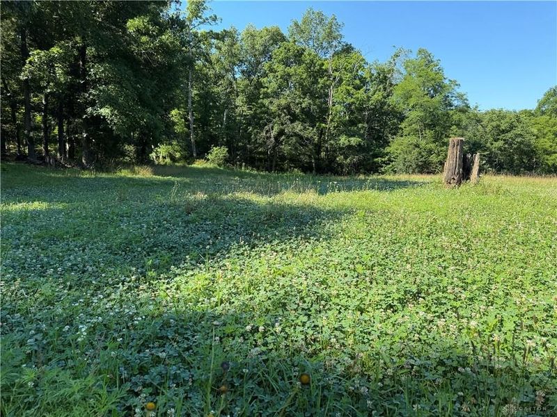 1897 Chestnut Ridge Road, West Union, OH 45693 Photo 48