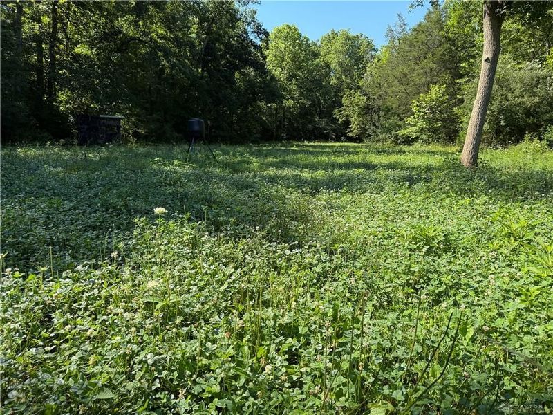 1897 Chestnut Ridge Road, West Union, OH 45693 Photo 59